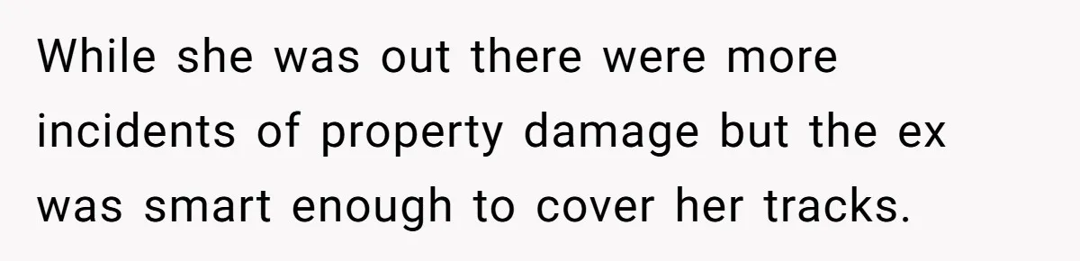While she was out there were more incidents of property damage but the ex was smart enough to cover her tracks.