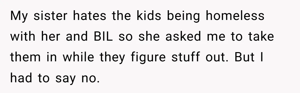 My sister hates the kids being homeless with her and BIL so she asked me to take them in while they figure stuff out. But I had to say no.