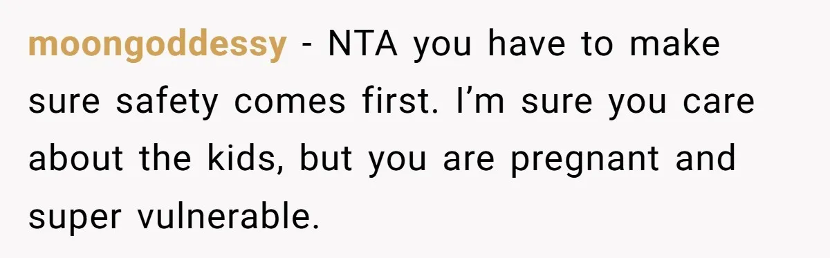 moongoddessy − NTA you have to make sure safety comes first. I’m sure you care about the kids, but you are pregnant and super vulnerable.