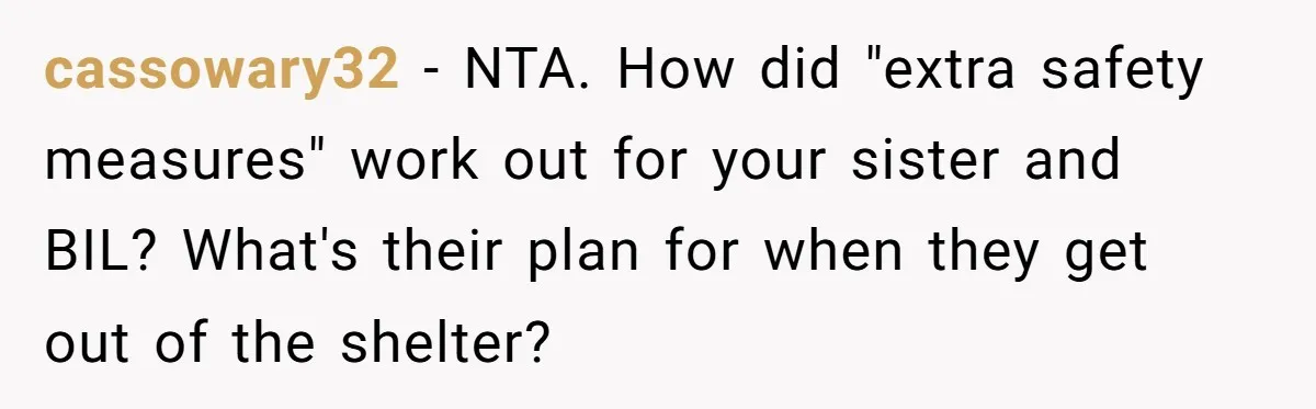 cassowary32 − NTA. How did "extra safety measures" work out for your sister and BIL? What's their plan for when they get out of the shelter?