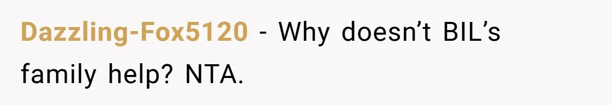 Dazzling-Fox5120 − Why doesn’t BIL’s family help? NTA.