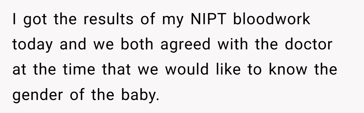 I got the results of my NIPT bloodwork today and we both agreed with the doctor at the time that we would like to know the gender of the baby.