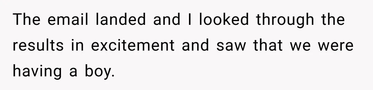 The email landed and I looked through the results in excitement and saw that we were having a boy.