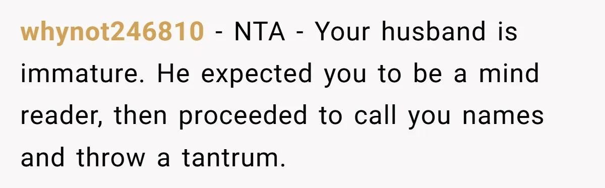 whynot246810 − NTA - Your husband is immature. He expected you to be a mind reader, then proceeded to call you names and throw a tantrum.