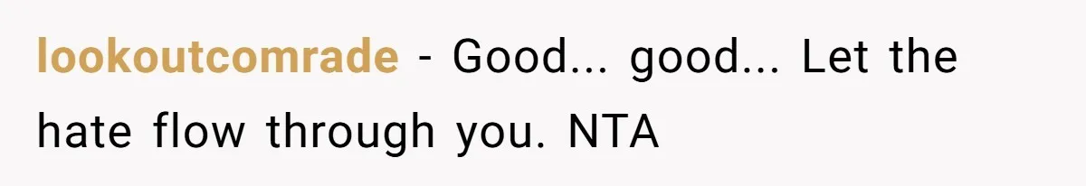 lookoutcomrade − Good... good... Let the hate flow through you. NTA
