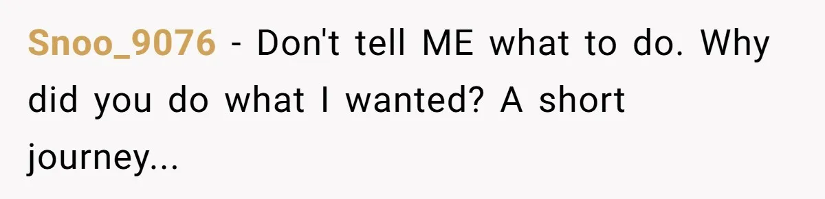 Snoo_9076 − Don't tell ME what to do. Why did you do what I wanted? A short journey...