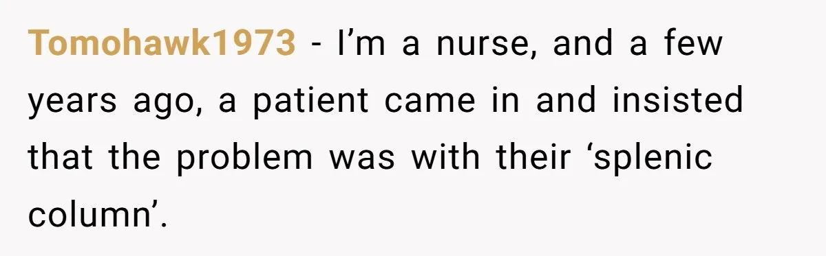 Tomohawk1973 − I’m a nurse, and a few years ago, a patient came in and insisted that the problem was with their ‘splenic column’.