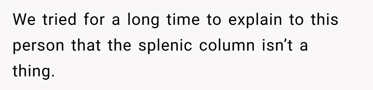 We tried for a long time to explain to this person that the splenic column isn’t a thing.