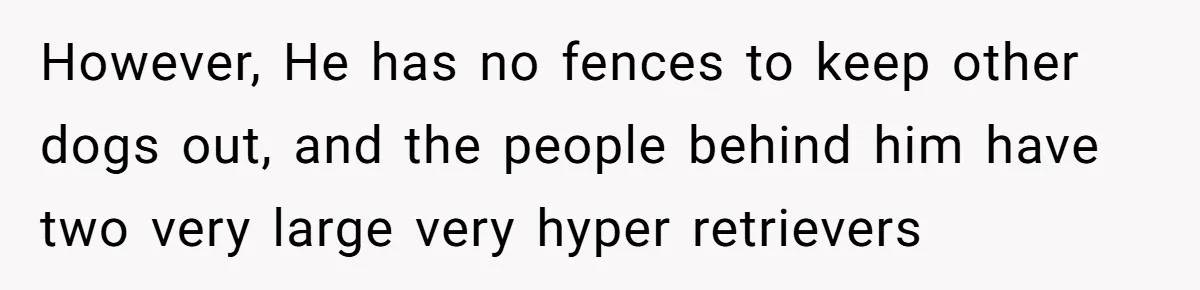 However, He has no fences to keep other dogs out, and the people behind him have two very large very hyper retrievers