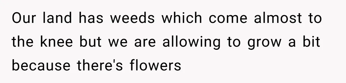 Our land has weeds which come almost to the knee but we are allowing to grow a bit because there's flowers
