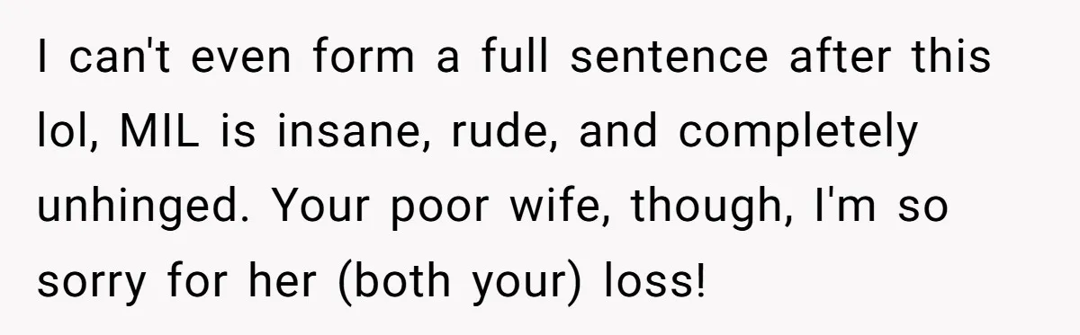 I can't even form a full sentence after this lol, MIL is insane, rude, and completely unhinged. Your poor wife, though, I'm so sorry for her (both your) loss!