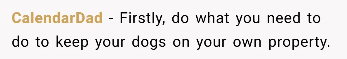 CalendarDad − Firstly, do what you need to do to keep your dogs on your own property.
