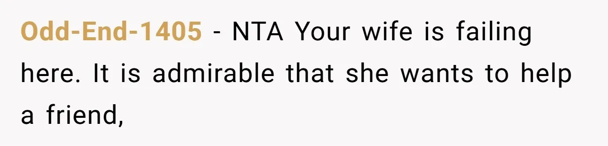 Odd-End-1405 − NTA Your wife is failing here. It is admirable that she wants to help a friend,