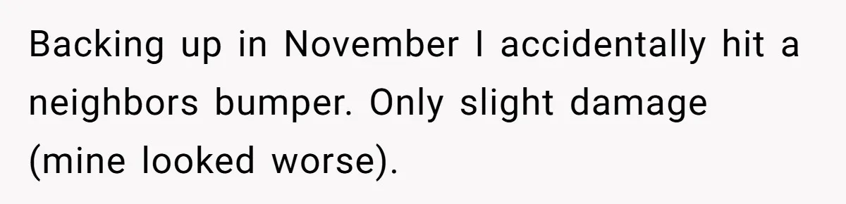 Backing up in November I accidentally hit a neighbors bumper. Only slight damage (mine looked worse).