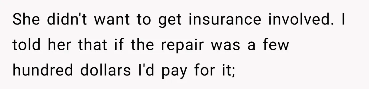 She didn't want to get insurance involved. I told her that if the repair was a few hundred dollars I'd pay for it;