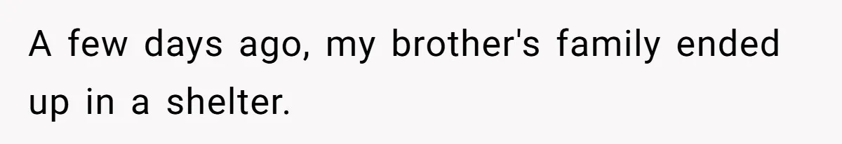 A few days ago, my brother's family ended up in a shelter.