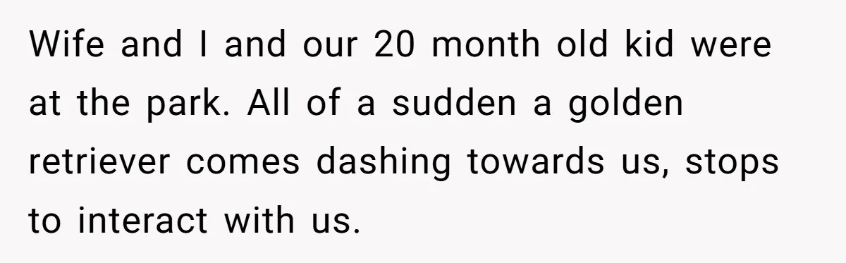 Wife and I and our 20 month old kid were at the park. All of a sudden a golden retriever comes dashing towards us, stops to interact with us.