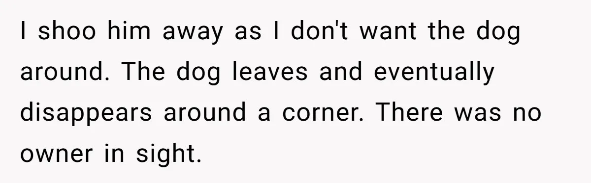 I shoo him away as I don't want the dog around. The dog leaves and eventually disappears around a corner. There was no owner in sight.