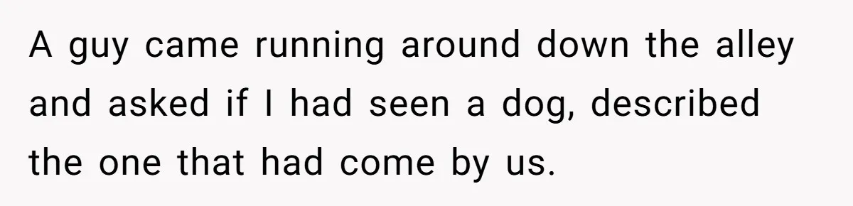A guy came running around down the alley and asked if I had seen a dog, described the one that had come by us.
