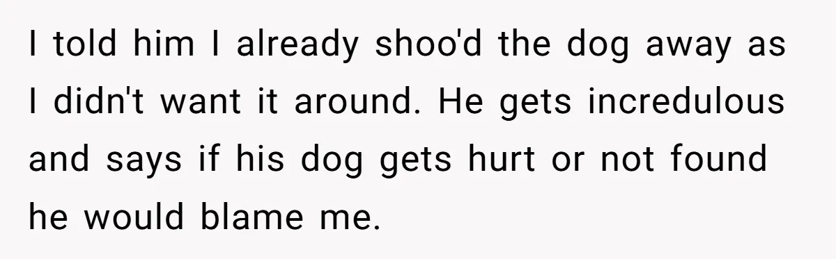 I told him I already shoo'd the dog away as I didn't want it around. He gets incredulous and says if his dog gets hurt or not found he would...