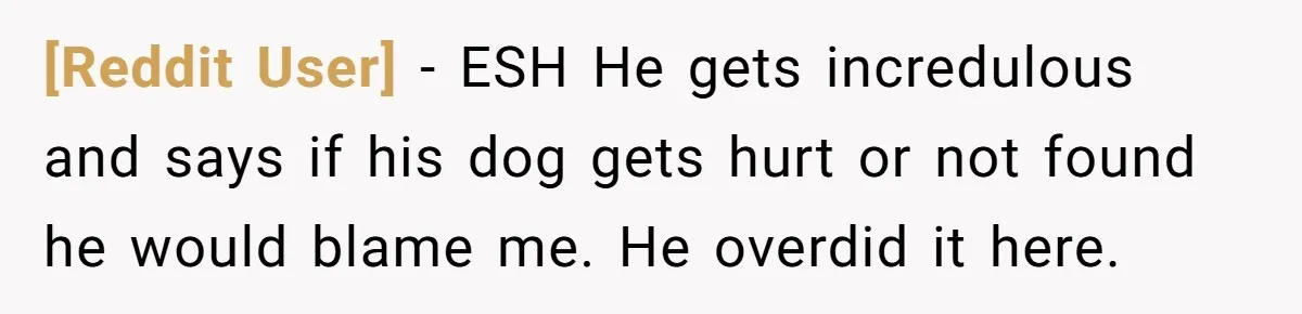 [Reddit User] − ESH He gets incredulous and says if his dog gets hurt or not found he would blame me. He overdid it here.