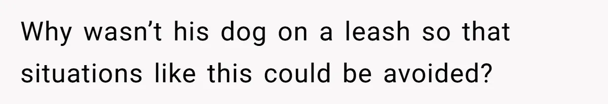 Why wasn’t his dog on a leash so that situations like this could be avoided?
