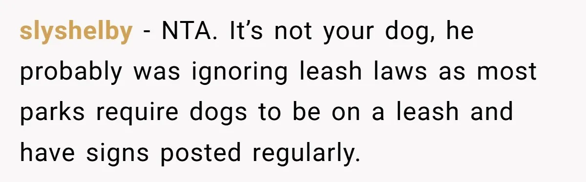 slyshelby − NTA. It’s not your dog, he probably was ignoring leash laws as most parks require dogs to be on a leash and have signs posted regularly.