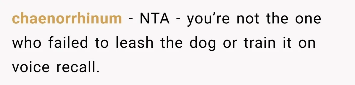 chaenorrhinum − NTA - you’re not the one who failed to leash the dog or train it on voice recall.