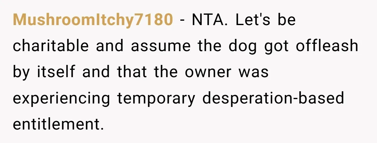 MushroomItchy7180 − NTA. Let's be charitable and assume the dog got offleash by itself and that the owner was experiencing temporary desperation-based entitlement.
