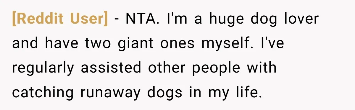 [Reddit User] − NTA. I'm a huge dog lover and have two giant ones myself. I've regularly assisted other people with catching runaway dogs in my life.