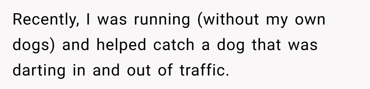 Recently, I was running (without my own dogs) and helped catch a dog that was darting in and out of traffic.