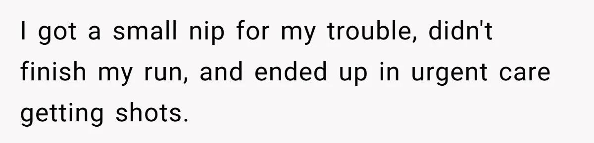 I got a small nip for my trouble, didn't finish my run, and ended up in urgent care getting shots.