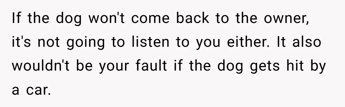 If the dog won't come back to the owner, it's not going to listen to you either. It also wouldn't be your fault if the dog gets hit by a...