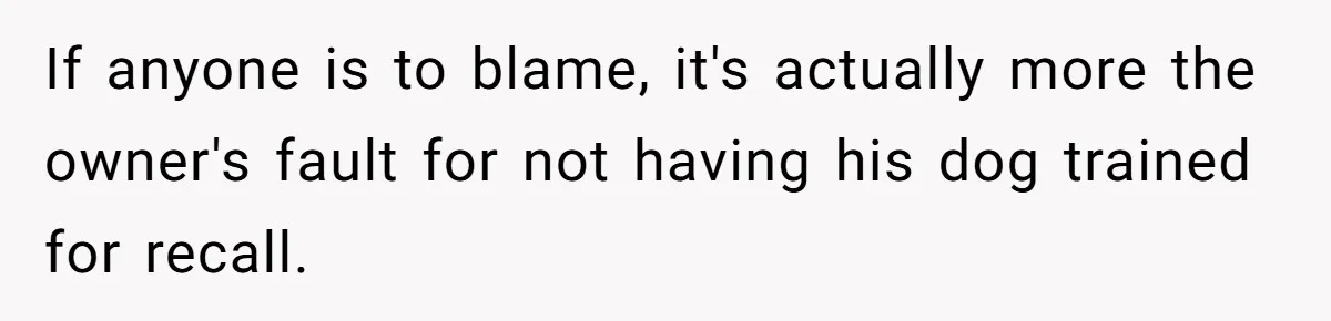 If anyone is to blame, it's actually more the owner's fault for not having his dog trained for recall.