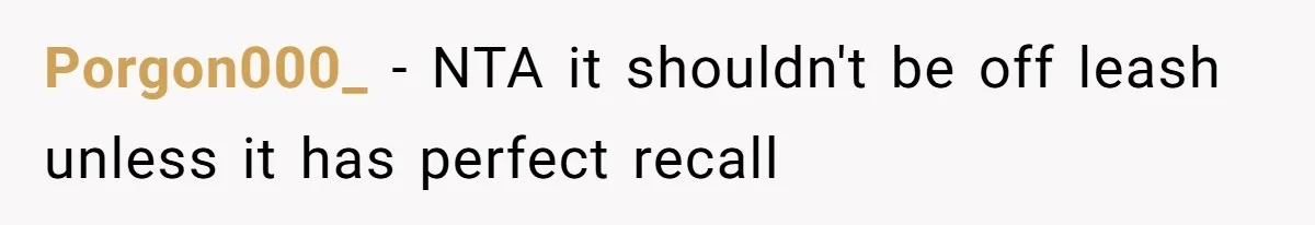 Porgon000_ − NTA it shouldn't be off leash unless it has perfect recall