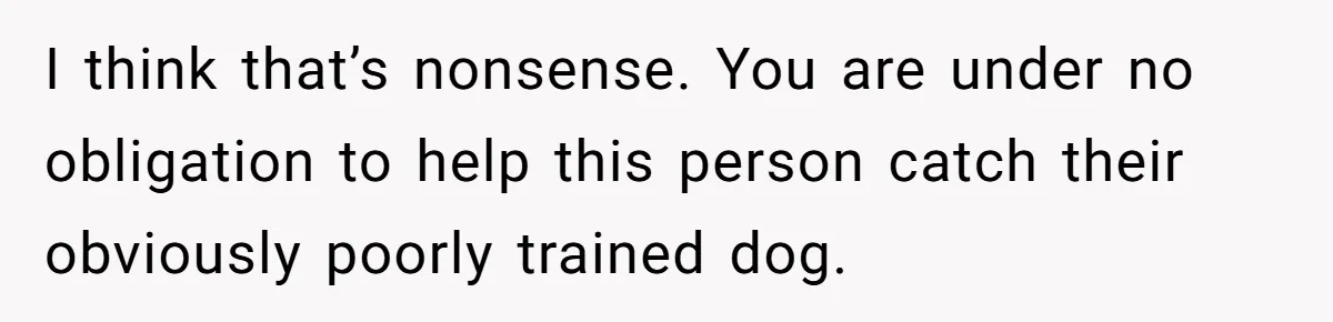 I think that’s nonsense. You are under no obligation to help this person catch their obviously poorly trained dog.