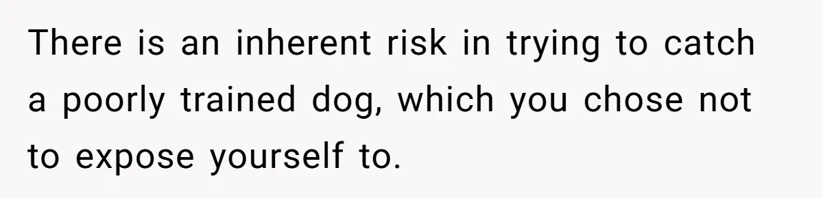 There is an inherent risk in trying to catch a poorly trained dog, which you chose not to expose yourself to.