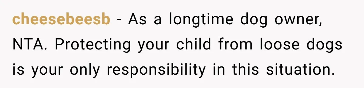 cheesebeesb − As a longtime dog owner, NTA. Protecting your child from loose dogs is your only responsibility in this situation.