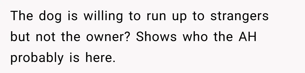 The dog is willing to run up to strangers but not the owner? Shows who the AH probably is here.