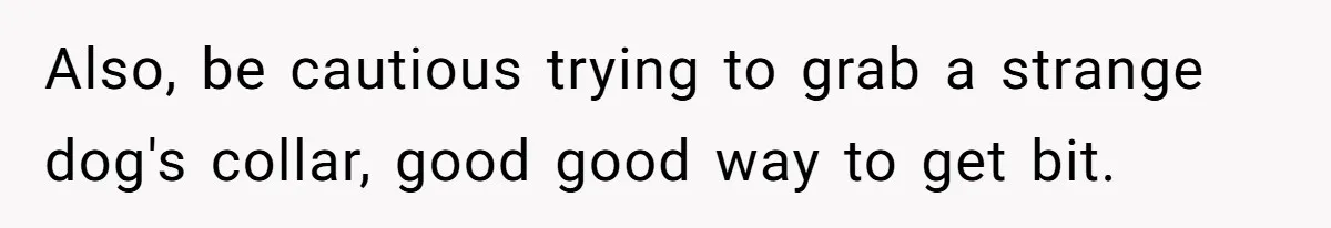 Also, be cautious trying to grab a strange dog's collar, good good way to get bit.