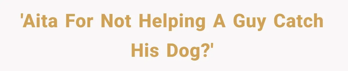 'AITA for not helping a guy catch his dog?'