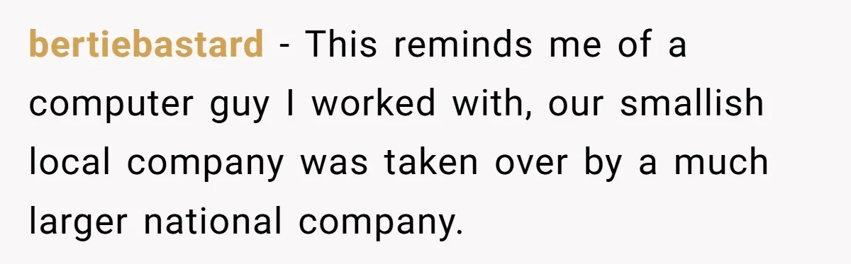 bertiebastard − This reminds me of a computer guy I worked with, our smallish local company was taken over by a much larger national company.