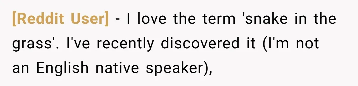 [Reddit User] − I love the term 'snake in the grass'. I've recently discovered it (I'm not an English native speaker),