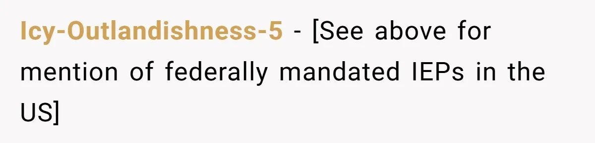 Icy-Outlandishness-5 − [See above for mention of federally mandated IEPs in the US]