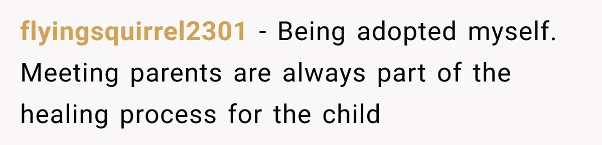 flyingsquirrel2301 − Being adopted myself. Meeting parents are always part of the healing process for the child