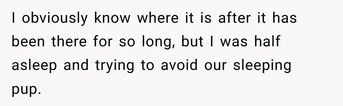 Pregnant Woman Trips Over Suitcase Husband Never Put Away, Husband Accuses Her Of Doing It “On Purpose” I obviously know where it is after it has been there for so long, but I was half asleep and trying to avoid our sleeping pup.