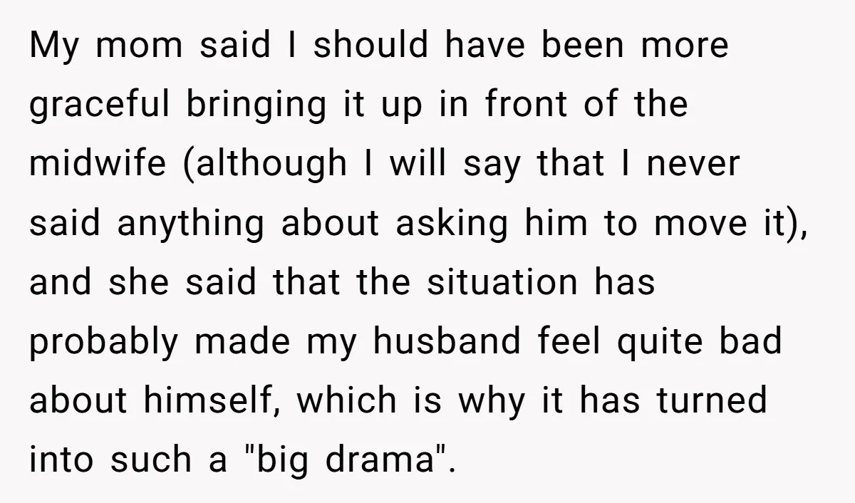 Pregnant Woman Trips Over Suitcase Husband Never Put Away, Husband Accuses Her Of Doing It “On Purpose” My mom said I should have been more graceful bringing it up in front of the midwife (although I will say that I never said anything about asking him to...