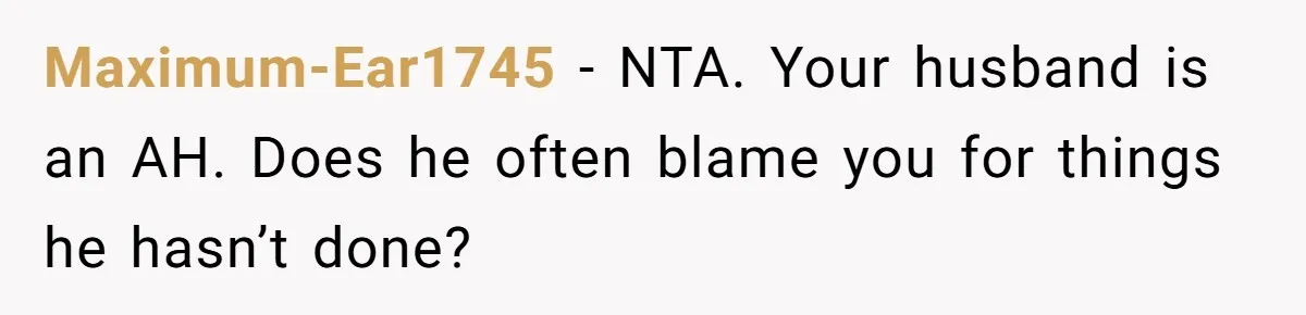 Pregnant Woman Trips Over Suitcase Husband Never Put Away, Husband Accuses Her Of Doing It “On Purpose” Maximum-Ear1745 − NTA. Your husband is an AH. Does he often blame you for things he hasn’t done?