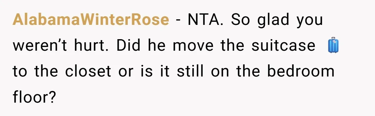 Pregnant Woman Trips Over Suitcase Husband Never Put Away, Husband Accuses Her Of Doing It “On Purpose” AlabamaWinterRose − NTA. So glad you weren’t hurt. Did he move the suitcase 🧳 to the closet or is it still on the bedroom floor?