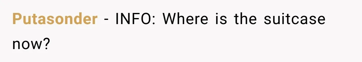 Pregnant Woman Trips Over Suitcase Husband Never Put Away, Husband Accuses Her Of Doing It “On Purpose” Putasonder − INFO: Where is the suitcase now?
